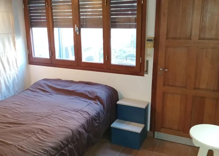 (El Departamento)
